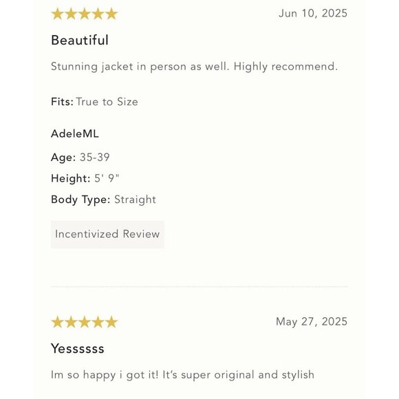 NWT Size L -  Dolan Left Coast Faux-Suede Boyfriend Blazer (NWT US$ 168) - Picture 4 of 16